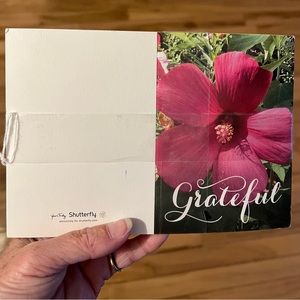 Blank thank you cards
